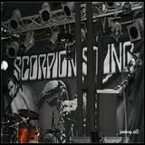 Scorpion Sting_6X3A8900